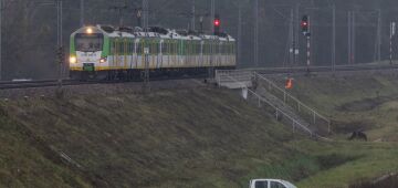 Premiê da Polônia denuncia 'sabotagem' de ferrovia que liga seu país à Ucrânia