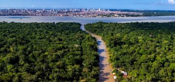 COP30 consolida novo patamar do turismo no Brasil, avalia Sabino