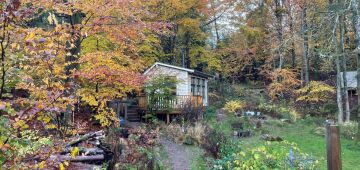 Suécia aposta no silêncio de suas florestas como antídoto para o ruído do mundo