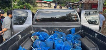 Dois homens presos na Tailândia por transportar 81 macacos e metanfetamina