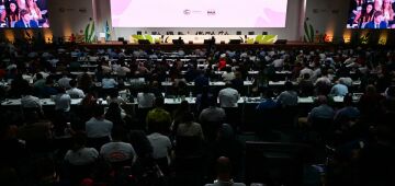 COP30 de Belém aprova acordo que omite eliminação gradual dos combustíveis fósseis