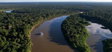Seca extrema e água quente dizimaram botos na Amazônia em 2023, aponta estudo