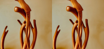 "Entre Galhos e Silêncio": a natureza que inspira Gegê Pedrosa