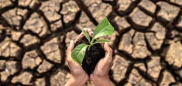 Simpósio no Recife discute emergências climáticas aplicadas à arquitetura e urbanismo