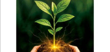 Revista Folha Energia 2025