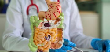 O segundo cérebro: as conexões entre o intestino e a saúde plena
