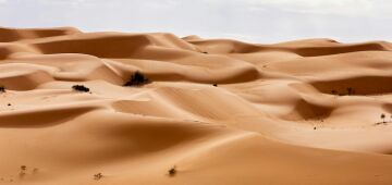 Pesquisa prevê mudanças no clima do Deserto do Saara nos próximos anos