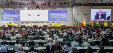 Professor defende que Brasil dê exemplo com Mapa do Caminho