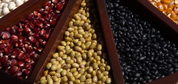 Governo estadual abre chamada pública para aquisição e distribuição de sementes