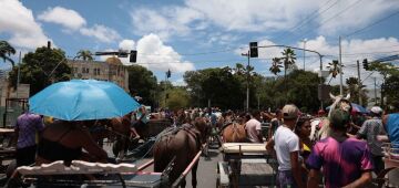 Carroceiros voltam a protestar contra o fim do transporte de tração animal