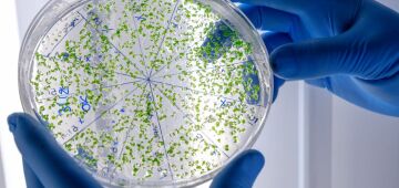 Chinês é acusado de contrabandear bactéria mortal para os Estados Unidos