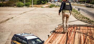 PRF realiza operação de combate a crimes ambientais em Pernambuco