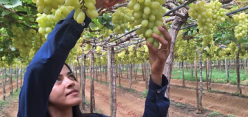 EBFT realiza mutirão de vagas em Petrolina no dia 9 de dezembro