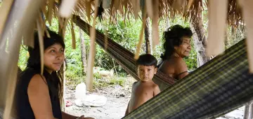 Brasil lidera número de povos isolados, mas há lacunas na proteção