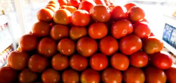 Tomate, cenoura e batata têm queda de preço no atacado em novembro, diz Conab