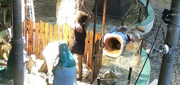 Mulher é presa após depredar presépio instalado há dois dias em Igarassu