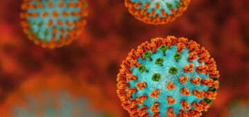 Brasil registra caso importado de "gripe K" no Pará