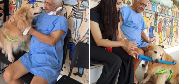 Paciente internado em hospital no Recife recebe visita do seu cão após dois meses longe do pet