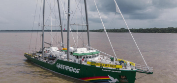 Navio do Greenpeace terá visitação pública no Recife neste fim de semana