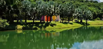 Museu Inhotim, em Minas Gerais, tem recorde de visitação em 2025