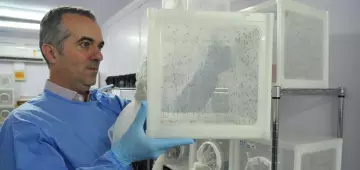Brasileiro criador do "Aedes" que bloqueia dengue é eleito pela Nature