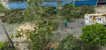 Resiliência elétrica entra na agenda regulatória e mobiliza Neoenergia