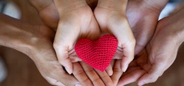 Dia da Solidariedade: entenda os benefícios de praticar o bem