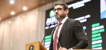 TCC de estudante de Direito vira projeto de lei em Pernambuco para proteger cadelas reprodutoras