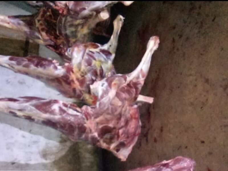 Operação conjunta apreende quatro toneladas de carne de cavalo em