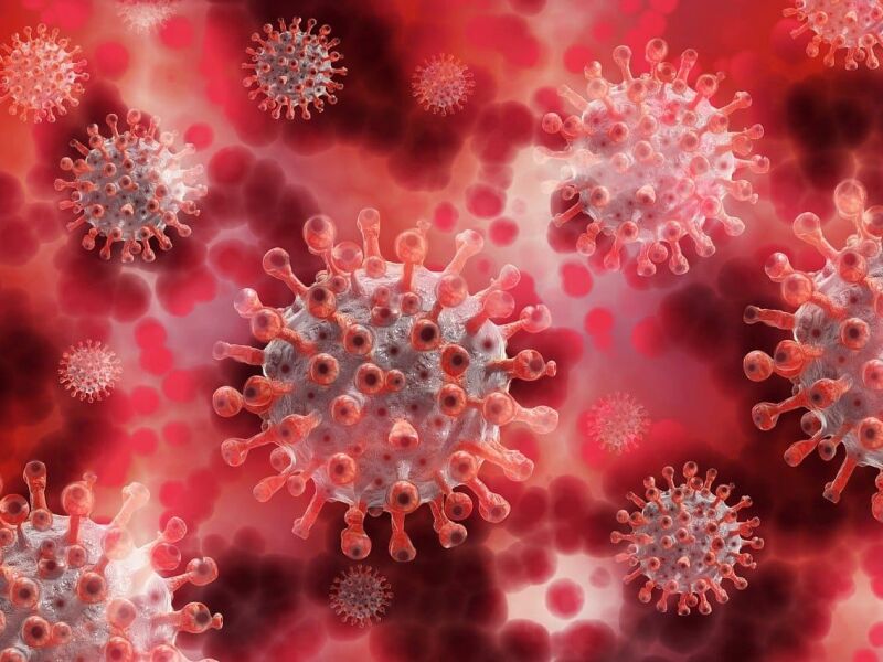Pernambuco registra primeira morte por Covid-19 em 2025; paciente tinha 84 anos