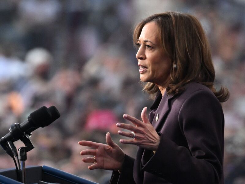 "Devemos aceitar os resultados" das eleições, diz Kamala Harris Folha PE