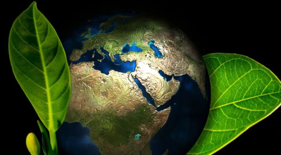 Marcas que fazem a diferença: relações de consumo mais justas e responsáveis