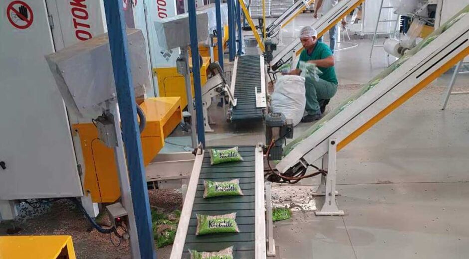 Alimentos: consumo cresce nos lares brasileiros