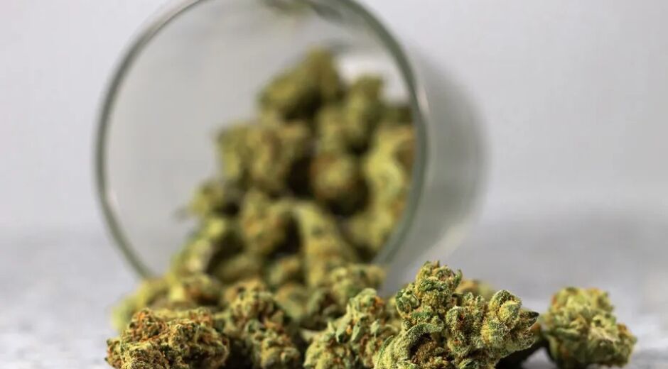 Cannabis: 15% já consumiram maconha no Brasil; taxa mais que dobra em 20 anos