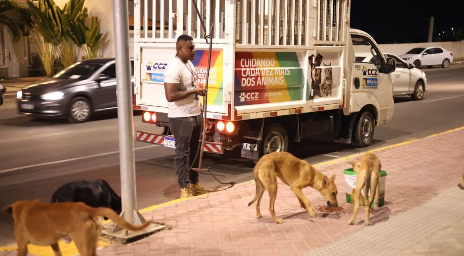 Petrolina inicia projeto para ampliar castrações em animais em situação de rua