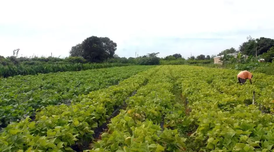 Capacitação sobre educação financeira é levada ao campo pelo Programa Empreendedorismo Rural