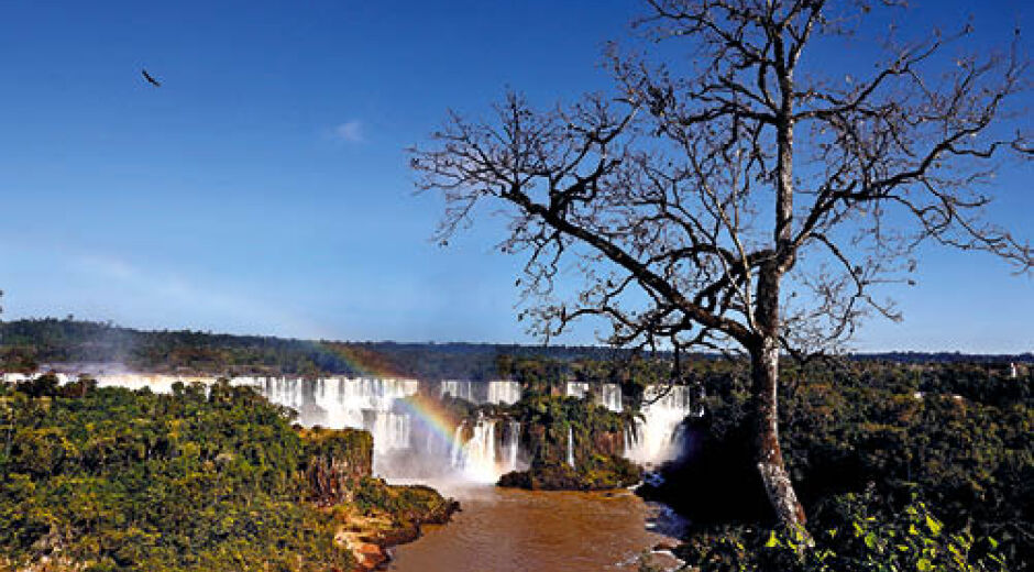 Combustíveis do futuro