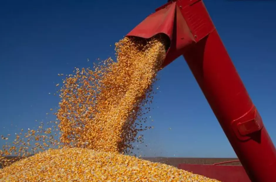 Transnordestina entra em opera&ccedil;&atilde;o e muda o mapa da log&iacute;stica de gr&atilde;os