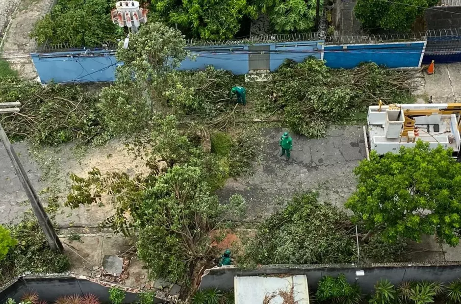 Resiliência elétrica entra na agenda regulatória e mobiliza Neoenergia