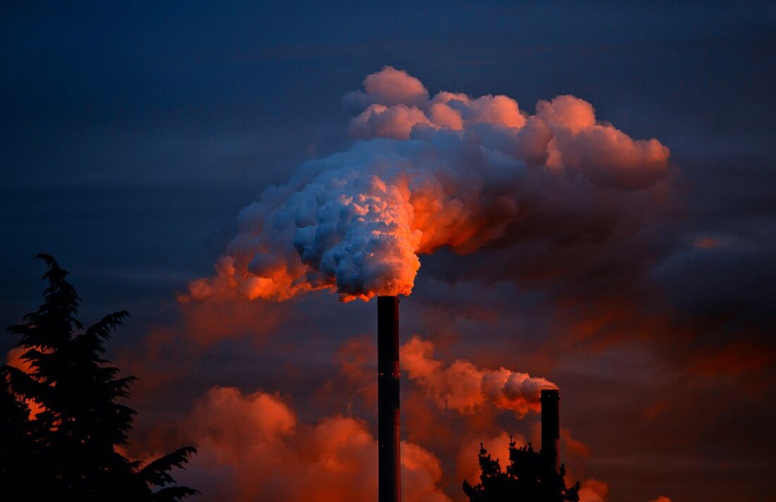 A entidade pede que a União e o ministério sejam condenados a apresentar uma atualização do plano climático, "em formato condizente com a urgente e necessária redução das emissões brasileiras"