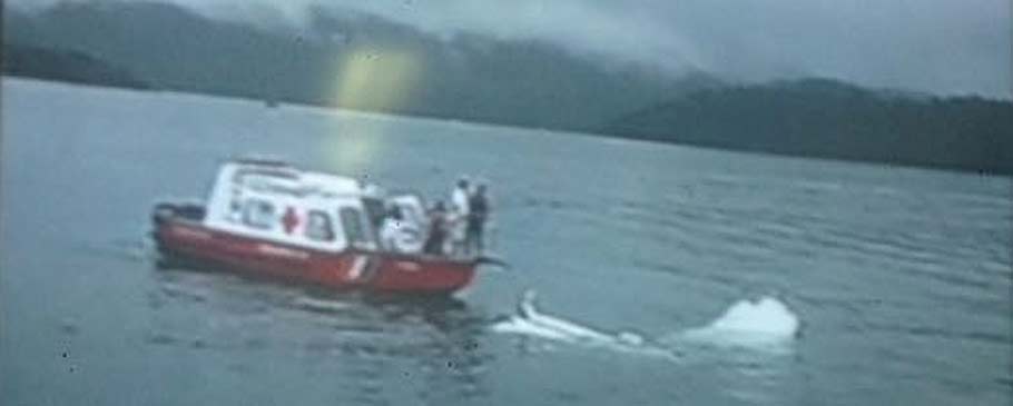 Resgate de avião que caiu em Paraty