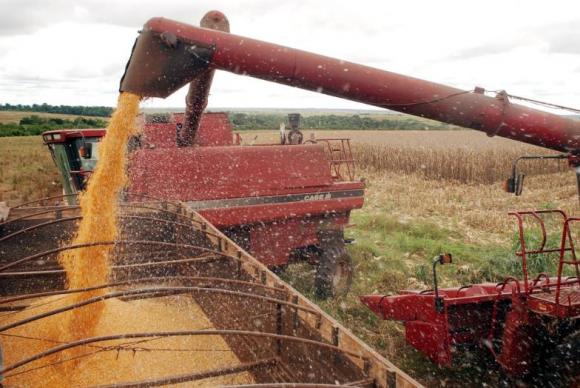 Produção agrícola