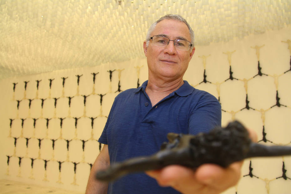 Renato Valle, artista plástico