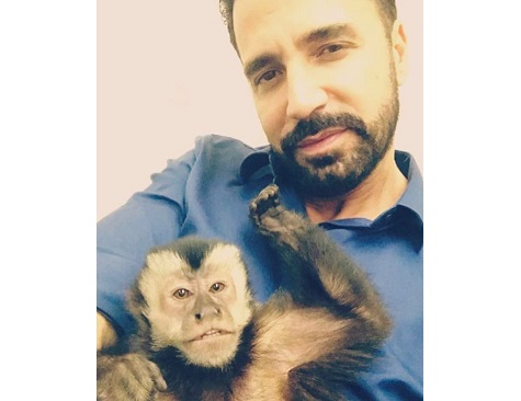 Latino e seu macaco de estimação, Twelves