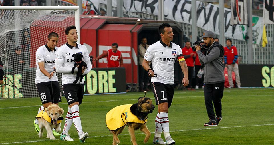 Jogo do Colo Colo foi suspenso por um caso positivo de Covid