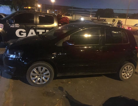 Fox preto apreendido pela Polícia Militar em Petrolina