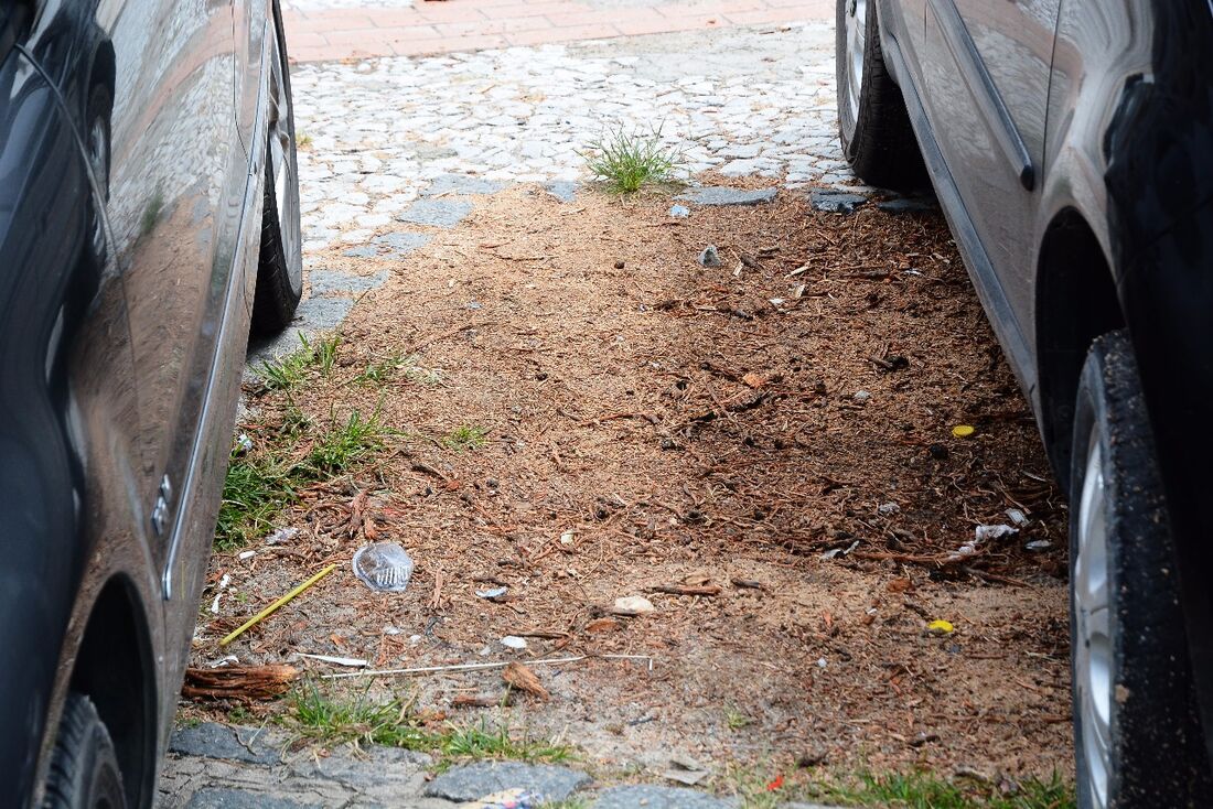Local onde foi cortada a árvore virou estacionamento