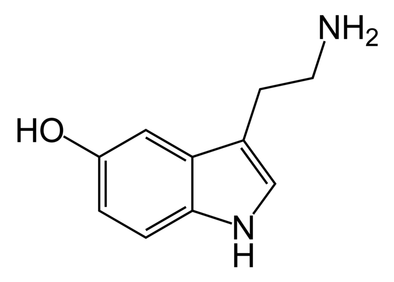 Serotonina