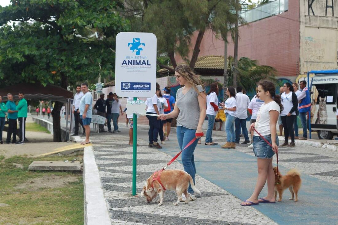 Projeto para recolher fezes de animais em Jaboatão