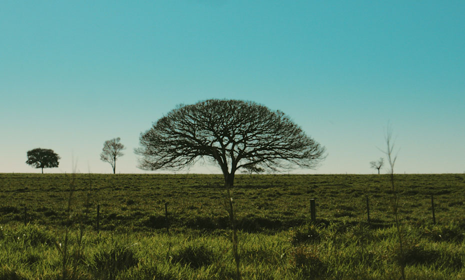 Curta Borá (RJ), de Angelo Defante